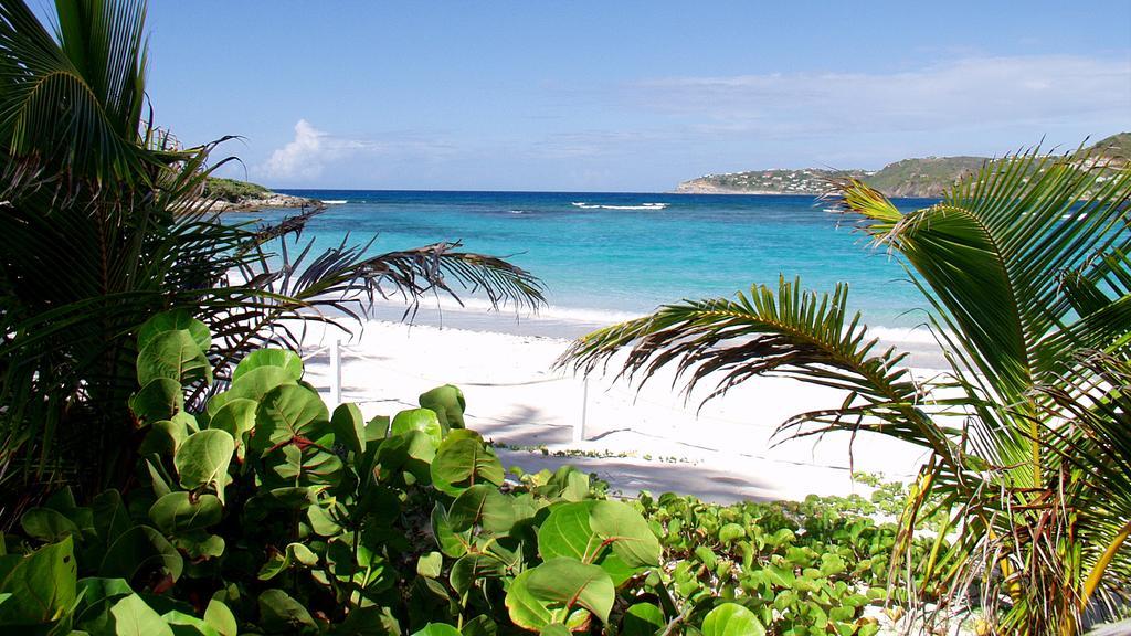 Tropical Hotel St Barth Gustavia Ngoại thất bức ảnh